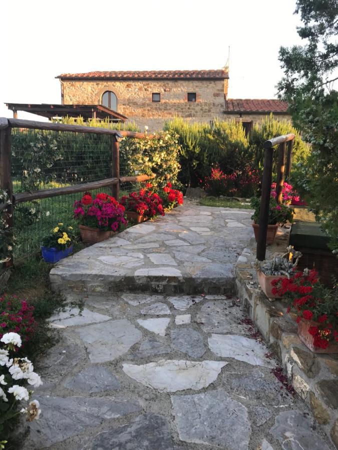 Willa Salto Di Gatto Castellina in Chianti Zewnętrze zdjęcie