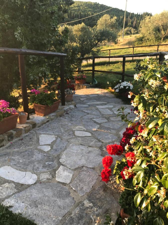 Willa Salto Di Gatto Castellina in Chianti Zewnętrze zdjęcie