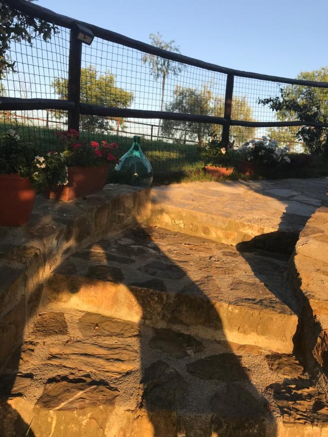 Willa Salto Di Gatto Castellina in Chianti Zewnętrze zdjęcie