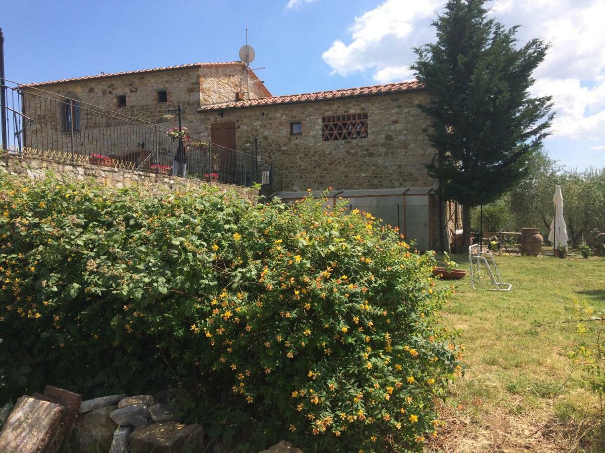 Willa Salto Di Gatto Castellina in Chianti Zewnętrze zdjęcie